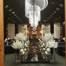 유연선「동백꽃」 | 선플이 다녀온 제니스 마린 컨벤션 웨딩홀 리얼 후기