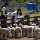 세호농장 이미지