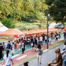 봄 펫살롱 이미지