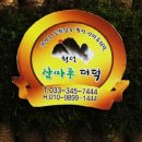횡성산마루더덕 이미지