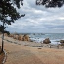 365울산누리팜 이미지