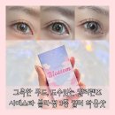 컬러렌즈 도수, 브랜드 추천 시에스타 블라썸 베이지, 그린, 핑크 실착용 및 도수 선택 후기