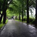 김하철 | 부석사의 밤