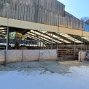 한우축사 이미지