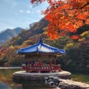 달고운청정사교마을