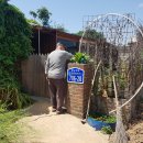 김동일농장 이미지