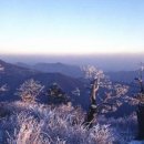 세방주유소 이미지