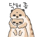 주식회사 정민
