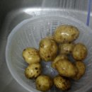 오늘의반찬 이미지