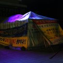 소금나무 이미지