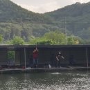 팔미리낚시터 이미지