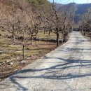 세림농장 이미지