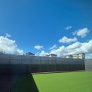 라인하트 애견호텔 유치원 이미지