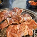 삼양금돼지 이미지