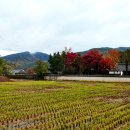 승산 이미지