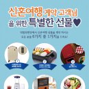 노블컨벤션