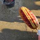 도마차로R 이미지