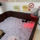 경주부화장 이미지