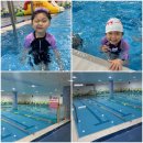 수영 | 전남광주 수완 짐슐레 6세 인라인, 수영 후기
