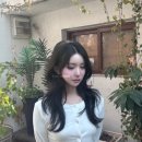 유키니언 19호 대구삼덕한옥점