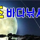 오즈실내바다 낚시터 이미지