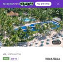 정식당야식전쟁 | 필리핀 보홀 | 하나투어 보홀 3박5일 패키지 여행 상품 소개