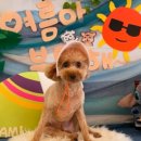 아띠라미 이미지