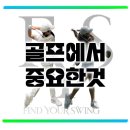 와이에스스포츠클럽 | 골프에서 중요한것은 뭘까?