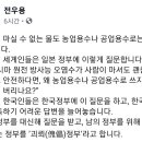 전우용 학자, 남의 정부를 대신하는 '괴뢰정부' 이미지