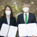 선진회계법인 이미지