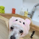 바다미용실 이미지