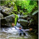 나비뜨란 펜션 이미지