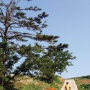 외연도2 이미지