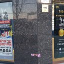 도로시 옵티컬 이미지