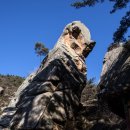 용장4리 이미지