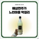 사계절유통 | 느린마을 막걸리 가격, 도수, 유통기한 내돈내산 후기