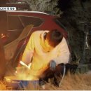 (주)본보야지 이미지