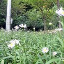 사기막골공원 이미지