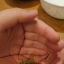 스테이산음