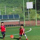 청도태권도장 이미지