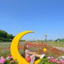 주식회사 봄광학 | 2022 여름축제 브이로그 카메라 G7X Mark3 와 꽃축제 나들이