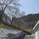 전북특별자치도 정읍시 시립미술관 | [정읍 아이와 방문하기 좋은 곳] 무료 전시 나들이 정읍시립미술관 버라이어티 베어 방문 후기