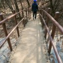 황칠문화연구소 | 삼계탕갈비탕 수통골점 수통골맛집 대전수통골맛집 황칠삼계탕 대전짬뽕맛집 대전가볼만한곳 대전현지인...