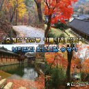 2/26[일]순천 조계산 장군봉(100명산)선암사 보리밥 송광사 - 산행안내/좌석표 이미지