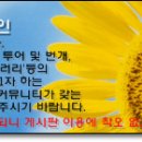 다이소표 녹제거제 이미지