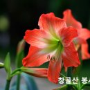 구원의 10단계 이미지