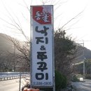 동굴 낙지와 쭈꾸미 이미지