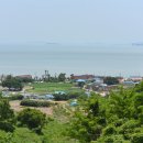 송이도