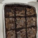 업비트 피자데이 당첨 후기: 무려 4만원 쿠폰 당첨. 파파존스 봉천점에서 배달시켜먹기