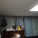 안산 일동 누수 설비~~상록구 일동 필로티 주택 빌라 밑에 집 안방 천장 벽지가 젖으면서 몰딩이 있는 곳에서 물이 떨어지는 누수 원인은 이미지